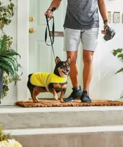 Frisco Reflective Dog Safety Vest 15 Frisco Reflective Dog Safety Vest -Pet Food Gear Shop 248680 PT7. SY630 V1614029598