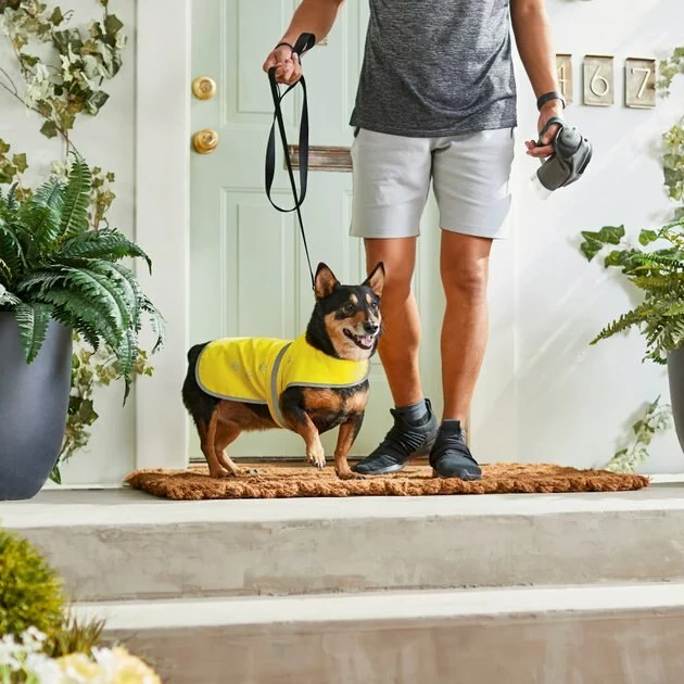 Frisco Reflective Dog Safety Vest 9 Frisco Reflective Dog Safety Vest - Image 7