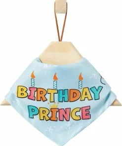 Frisco Birthday Prince Dog & Cat Bandana
