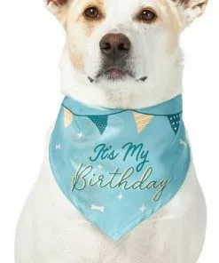 Frisco It's My Birthday Dog & Cat Bandana, Blue -Pet Food Gear Shop 248696 PT2. SY630 V1633069886