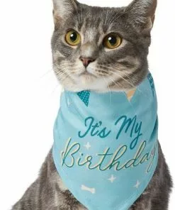 Frisco It's My Birthday Dog & Cat Bandana, Blue -Pet Food Gear Shop 248696 PT3. SY630 V1633061530
