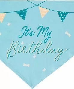 Frisco It's My Birthday Dog & Cat Bandana, Blue -Pet Food Gear Shop 248696 PT4. SY630 V1633057291