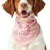 Frisco It's My Birthday Dog & Cat Bandana, Pink 2 Frisco It's My Birthday Dog & Cat Bandana, Pink -Pet Food Gear Shop 248702 MAIN. SY630 V1614611594