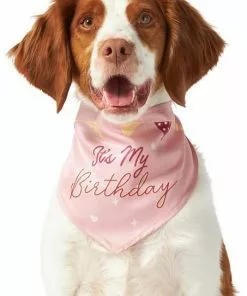 Frisco It's My Birthday Dog & Cat Bandana, Pink
