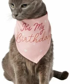 Frisco It's My Birthday Dog & Cat Bandana, Pink -Pet Food Gear Shop 248702 PT2. SY630 V1614611844