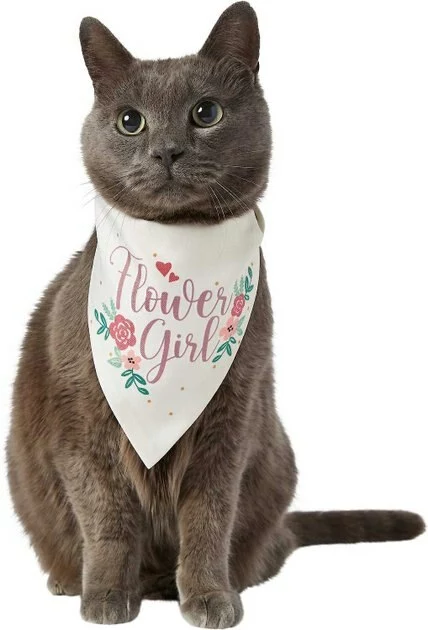 Frisco Wedding Reversible Dog & Cat Bandana 6 Frisco Wedding Reversible Dog & Cat Bandana - Image 4