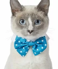 Frisco Polka Dot Dog & Cat Bow Tie, Teal 9 Frisco Polka Dot Dog & Cat Bow Tie, Teal -Pet Food Gear Shop 248715 PT2. SY630 V1613767316