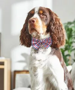 Frisco Plaid Dog & Cat Bow Tie, Red & Blue -Pet Food Gear Shop 248722 PT7. SY630 V1613765864