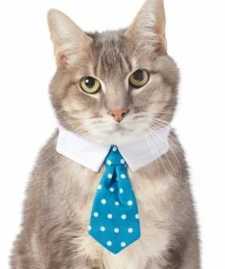 Frisco Polka Dot Dog & Cat Neck Tie -Pet Food Gear Shop 248729 PT2. SY630 V1614368548