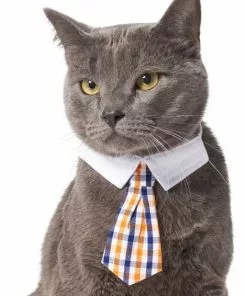 Frisco Plaid Dog & Cat Neck Tie, Orange & Blue -Pet Food Gear Shop 248737 PT2. SY630 V1614365487