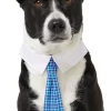 Frisco Plaid Dog & Cat Neck Tie, Blue Plaid -Pet Food Gear Shop 248738 MAIN. SY630 V1614365493