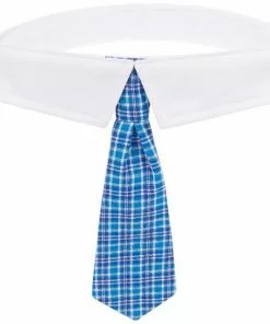 Frisco Plaid Dog & Cat Neck Tie, Blue Plaid -Pet Food Gear Shop 248738 PT3. SY630 V1614366236