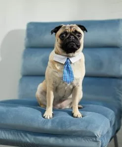 Frisco Plaid Dog & Cat Neck Tie, Blue Plaid -Pet Food Gear Shop 248738 PT7. SY630 V1614366111