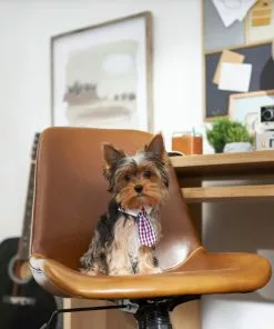 Frisco Plaid Dog & Cat Neck Tie, Red & Blue -Pet Food Gear Shop 248739 PT7. SY630 V1614366128