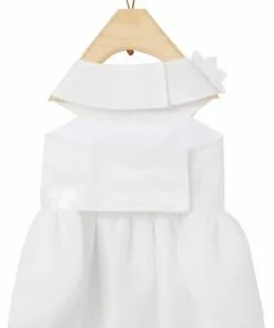 Frisco Formal Dog Wedding Dress -Pet Food Gear Shop 248743 PT4. SY630 V1613586449