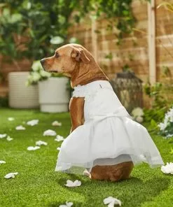 Frisco Formal Dog Wedding Dress -Pet Food Gear Shop 248743 PT7. SY630 V1614118361