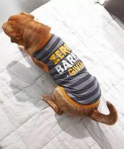 Frisco Zero Barks Given Dog & Cat T-Shirt -Pet Food Gear Shop 248838 PT7. SY630 V1644451885