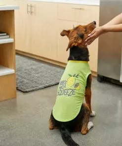 Frisco Mama's Main Squeeze Dog & Cat T-Shirt 13 Frisco Mama's Main Squeeze Dog & Cat T-Shirt -Pet Food Gear Shop 248852 PT5. SY630 V1644960403