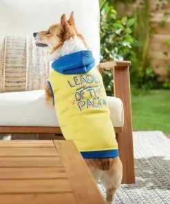 Frisco Leader of the Pack Dog & Cat Hoodie -Pet Food Gear Shop 248905 PT5. SY630 V1637682701