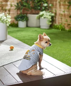 Frisco Give Me My Space Dog & Cat T-Shirt -Pet Food Gear Shop 249011 PT4. SY630 V1624601572