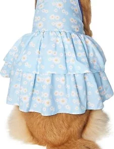 Frisco Blue Daisies Dog & Cat Dress