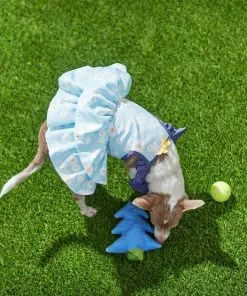 Frisco Blue Daisies Dog & Cat Dress -Pet Food Gear Shop 249044 PT7. SY630 V1644464818