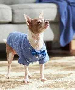 Frisco Anchor Print Chambray Dog & Cat Button Up Shirt -Pet Food Gear Shop 249104 PT7. SY630 V1614262608