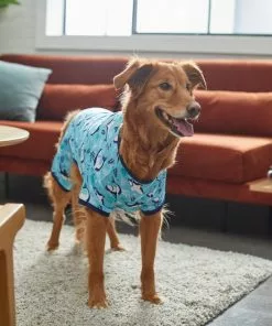 Frisco Happy Shark Dog & Cat Jersey PJs -Pet Food Gear Shop 249122 PT7. SY630 V1614276183