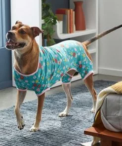 Frisco Teal Floral Dog & Cat Jersey PJs -Pet Food Gear Shop 249132 PT5. SY630 V1637725019
