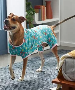 Frisco Teal Floral Dog & Cat Jersey PJs -Pet Food Gear Shop 249132 PT7. SY630 V1614376401