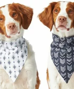 Frisco Boho Reversible Dog & Cat Bandana -Pet Food Gear Shop 249137 PT2. SY630 V1637707379