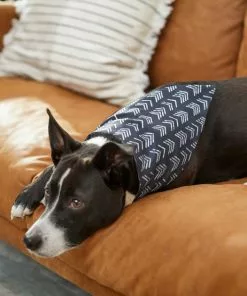 Frisco Boho Reversible Dog & Cat Bandana -Pet Food Gear Shop 249137 PT5. SY630 V1637659054