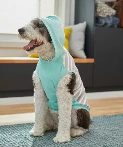Frisco Striped Colorblock Dog & Cat Hoodie, Teal -Pet Food Gear Shop 249146 PT7. SY630 V1614105034