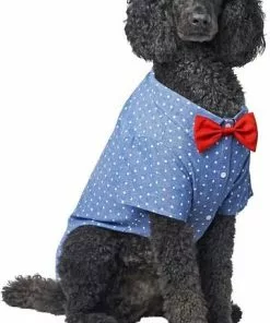 Frisco Polka Dot Chambray Dog & Cat Button Up Shirt 12 Frisco Polka Dot Chambray Dog & Cat Button Up Shirt -Pet Food Gear Shop 249161 PT2. SY630 V1624607862