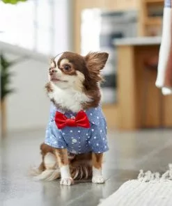 Frisco Polka Dot Chambray Dog & Cat Button Up Shirt 16 Frisco Polka Dot Chambray Dog & Cat Button Up Shirt -Pet Food Gear Shop 249161 PT6. SY630 V1624613869