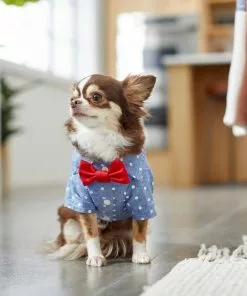 Frisco Polka Dot Chambray Dog & Cat Button Up Shirt 17 Frisco Polka Dot Chambray Dog & Cat Button Up Shirt -Pet Food Gear Shop 249161 PT7. SY630 V1614104808