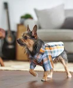 Frisco Plaid Dog & Cat Button Up Shirt -Pet Food Gear Shop 249173 PT6. SY630 V1624601549