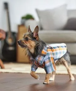 Frisco Plaid Dog & Cat Button Up Shirt -Pet Food Gear Shop 249173 PT7. SY630 V1614103793