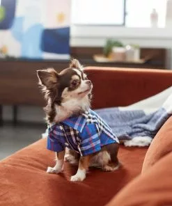 Frisco Plaid Dog & Cat Button Up Shirt, Navy Plaid 16 Frisco Plaid Dog & Cat Button Up Shirt, Navy Plaid -Pet Food Gear Shop 249176 PT6. SY630 V1624598867