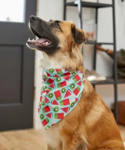 Frisco Fruity Summer Dog & Cat Bandana -Pet Food Gear Shop 249204 PT4. SY630 V1637668676
