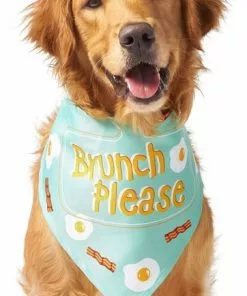 Frisco Brunch Please Dog & Cat Bandana -Pet Food Gear Shop 249207 PT2. SY630 V1637720586