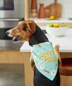 Frisco Brunch Please Dog & Cat Bandana -Pet Food Gear Shop 249207 PT4. SY630 V1637671044