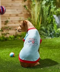 Frisco Mister Independent Dog & Cat T-Shirt -Pet Food Gear Shop 249237 PT4. SY630 V1624612960