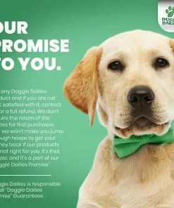 Frisco I Love Mommy Dog & Cat T-Shirt, Gray -Pet Food Gear Shop 249277 PT6. SY630 V1647386806