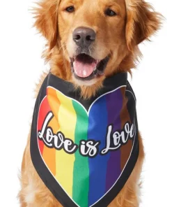 Frisco Love is Love Heart Dog & Cat Bandana -Pet Food Gear Shop 249289 PT2. SY630 V1637725028