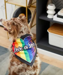Frisco Love is Love Heart Dog & Cat Bandana -Pet Food Gear Shop 249289 PT4. SY630 V1637686392