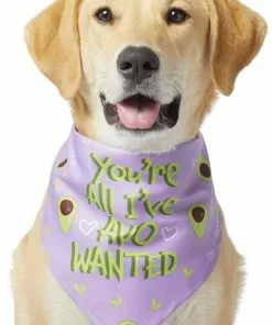 Frisco You're All I've Avo Wanted Dog & Cat Bandana -Pet Food Gear Shop 249292 PT2. SY630 V1637723806