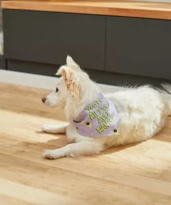 Frisco You're All I've Avo Wanted Dog & Cat Bandana -Pet Food Gear Shop 249292 PT4. SY630 V1637644623