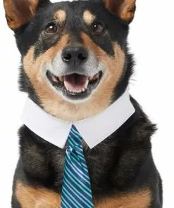 Frisco Stripes Dog & Cat Neck Tie