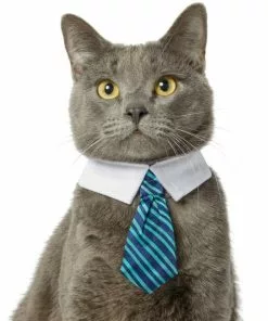 Frisco Stripes Dog & Cat Neck Tie -Pet Food Gear Shop 249301 PT2. SY630 V1614658396